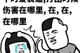 和政商账追讨清欠服务